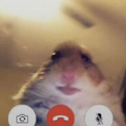 CristalTM