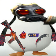 马达加斯加的溜达企鹅