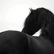 拳王降临束手就擒