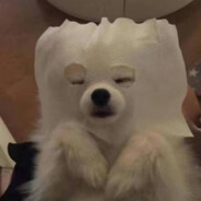 颜仔不做恋爱脑