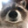 Hyperraccoons's avatar