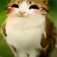 дай на лапу