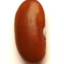 Bean_of_Truth