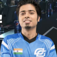 法兰克福城里灵活的狗