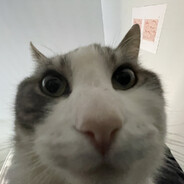 Wick - steam id 76561198849130014