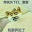 全仓百倍哈梭！