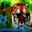 orazulay35