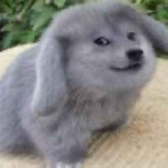 rogalik 11's avatar