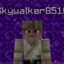 skywalker8510