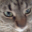 pepa_owo