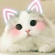 我是可愛的妹子