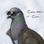 peter the pigeon