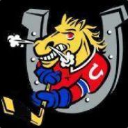 CharlieHorse - steam id 76561197960433752