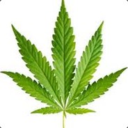 DIPSULEBEN avatar