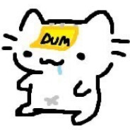 DumThing