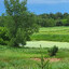 grandpa&#039;s cow pond