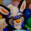 The Silly Fennec
