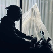 拯救大菠菜行动