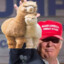 MAKE ALPACA GREAT AGAIN