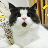 乖乖离(=θωθ=)喵喵