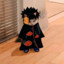 Zforest_ZR4