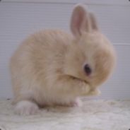 Билл - steam id 76561197961860153