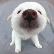 pastek69 - steam id 76561197960474409