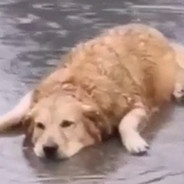 never aims for the head