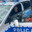 ALFIORZ1312