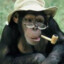 Smoky The Monkey