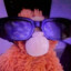 GoobertSnoobert