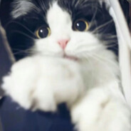 在月球上看日落