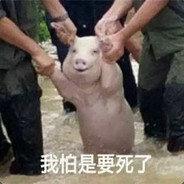 盗号贼你妈没了