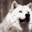 WhiteWolf