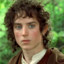 Frodo My Baggins