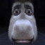 MootjeB6969