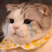 嘤嘤嘤我白给了