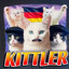 Adolf Healer