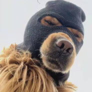 牵小左亲憨憨抱霞霞