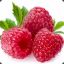 Raspberry