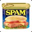 Spammy