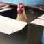 chickenbox