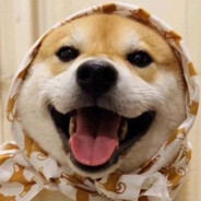 叫什么名字好呢