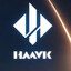 HAAVK公司