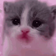 you can cry in my profile