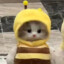 허꿀비
