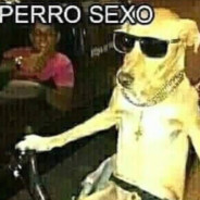 PerroFacha