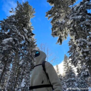 #CОСУЗАКОНФЕТКУ