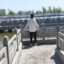 —楒—