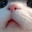 lack of sleep enjoyer ⌖